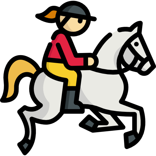 Équipements d'équitation