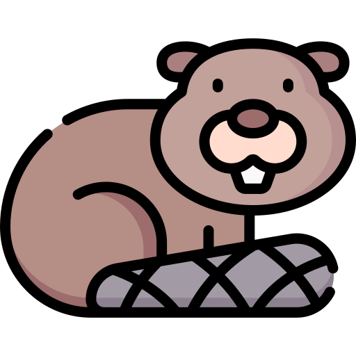 Autre - articles animaux