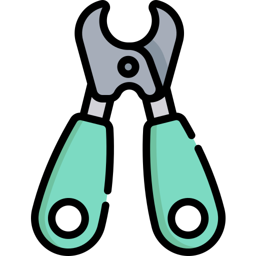 Soins et hygiène (shampoing, coupes griffes)