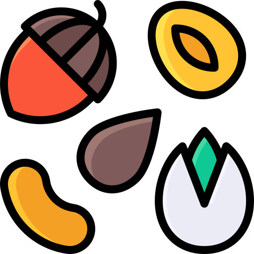 Graines, noix et fruits séchés