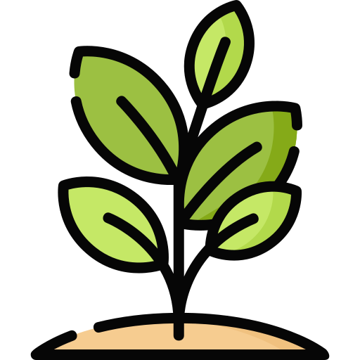 Jardinage & Plantation